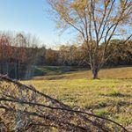 Profile Picture of David Gilliam (@ky_hunters) on Instagram