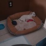 Profile Picture of moses vasquez Angel (@mosesvasquezangel) on Instagram