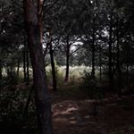 Profile Picture of Andrii Hrischenko (@andriihrischenko) on Instagram