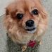Profile Picture of Ruth Holaday (@ruth.holaday.1) on Facebook