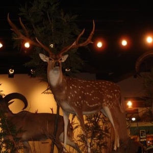 Profile Picture of Deleted Deleted (@bob_cantu) on Myspace