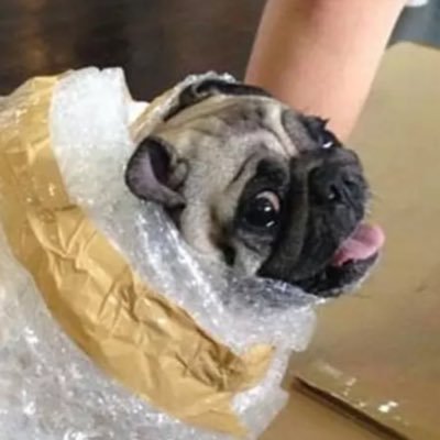 Profile Picture of Quinn Bell (@angryAtRockstar) on Twitter