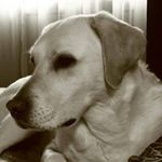 Profile Picture of Keith Hoggard (@diesel1013) on Instagram