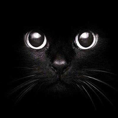 Profile Picture of Catherine Espinal (@caterineespinal) on Twitter