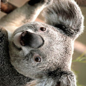 Profile Picture of Lamar Edwards (@lamaredwards8087) on Youtube