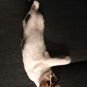 Profile Picture of Thomas Farrell (@thomasfarrell3637) on Youtube