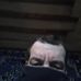 Profile Picture of William Holbrook's Holbrooks (@William-Holbrooks-Holbrooks) on Facebook