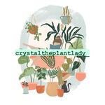 Profile Photo of Crystal Galindo (@crystaltheplantlady_) on Instagram