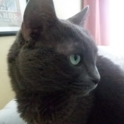 Jonathan Otto - Twitter Profile Picture of Jonathan Otto (@JonOtto) on Twitter