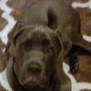 Profile Picture of Johnnie Stephen (@Johnnie-Stephen) on Facebook