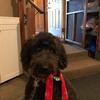 Profile Picture of pennytuttle875 (@@pennytuttle875) on Tiktok