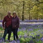 Profile Picture of Chris Perrett (@perrett.chris) on Instagram