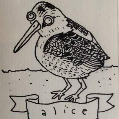 Profile Picture of Alice Wood (@Alice_R_Wood) on Twitter