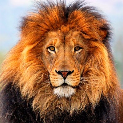 Profile Picture of Jonathan Como (@como_test) on Twitter