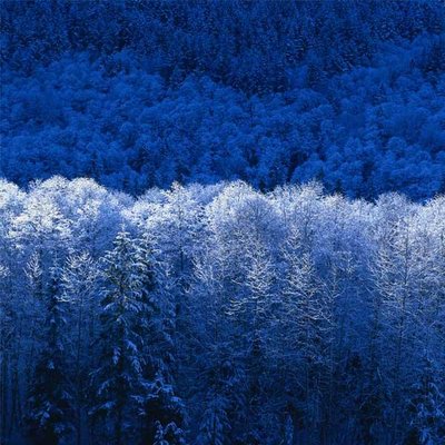 Profile Picture of Kimberly Monter (@tuloca11) on Twitter