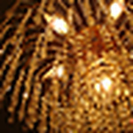 Profile Picture of Ming Ng (@mingchunj) on Flickr