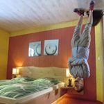 Profile Picture of David Galuška (@david.galuska.18) on Instagram