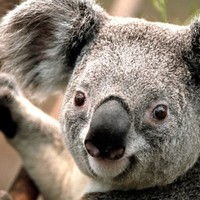 Profile Picture of Joe Canal (@joe-canal-1) on Quora