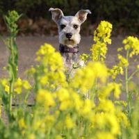 Profile Picture of Tammy Jeter (@tammy-jeter-4) on Quora