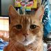 Profile Picture of Drew Featherman (@drew.featherman.338) on Facebook
