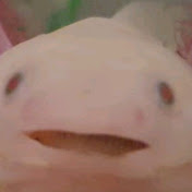 Profile Picture of Stephen Rudden (@judgesrules) on Youtube