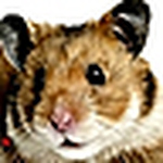 Profile Picture of Setuttoilmondoèpaese (@setuttoilmondoèpaese) on Flickr