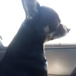 Profile Picture of George Corson (@george.corson) on Facebook