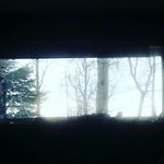 Profile Picture of Jordan Paulin (@jamal_jordan.christopher) on Instagram
