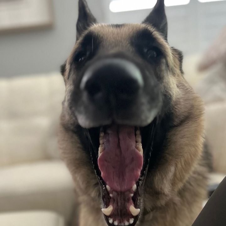 michaelbucaro - Tiktok Profile Picture of michaelbucaro (@michaelbucaro) on Tiktok