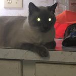 Kimberly Keebaugh Cordell - Instagram Profile Picture of Kimberly Keebaugh Cordell (@kimberlycordell) on Instagram