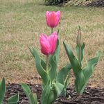 Profile Picture of Kyleigh Jones (@kyleighjones2009) on Instagram