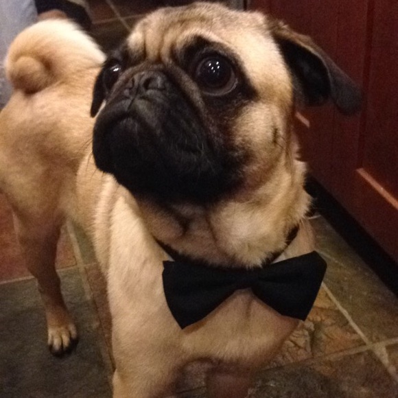 Profile Picture of Josette Remlet (@josrem20) on Poshmark