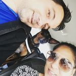 Profile Picture of patty berger (@patty1berger) on Instagram