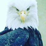 Profile Picture of thomasvestal301258 (@thomasvestal301258) on Instagram