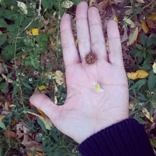 Profile Picture of amber jimenez (@amberjimenez) on Instagram