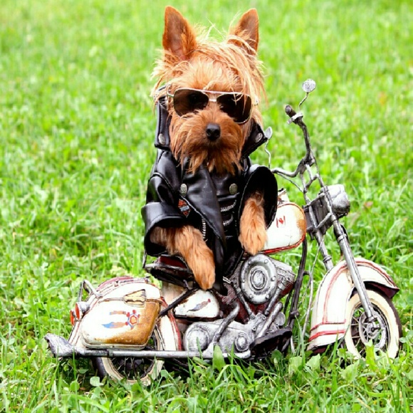 Profile Picture of Reta Harrison (@rjcoolnan1) on Poshmark