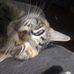 Profile Picture of Robert Tebbe (@robert.tebbe.92) on Facebook