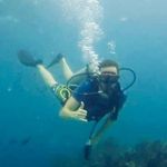 David Sheahan - Instagram Profile Picture of David Sheahan (@davesheahan) on Instagram