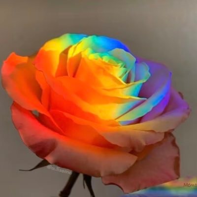 Profile Picture of Alex_damelio (@singneastrologi) on Twitter