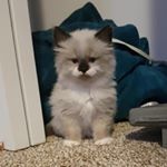 Profile Picture of damian_batesssssssss (@damian_batesssssssss) on Instagram