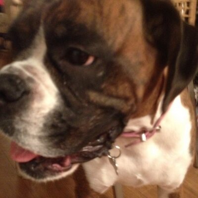 Profile Picture of sean mcmillen (@jamicansean) on Twitter