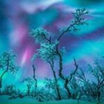 Christy Hutton - Instagram Profile Picture of Christy Hutton (@hutton.christy) on Instagram