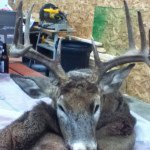 Tyler Krieg - Instagram Profile Picture of Tyler Krieg (@tyler_krieg) on Instagram