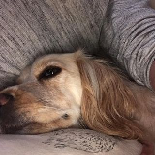 Profile Picture of Chris Maltby (@chris.maltby.716) on Facebook