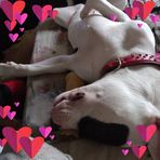 Profile Picture of Tania Wilson Manning Penfold (@tania.penfold.9) on Facebook