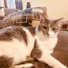 Profile Picture of maureenmackband (@@mackenziecat1) on Tiktok