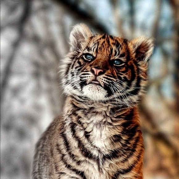 Profile Picture of Robert Crosby (@bigheadrob007) on Poshmark