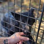 Profile Picture of Kyle Martell (@lil_man_69er2000) on Instagram