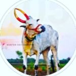 Profile Picture of haveri_rockstar_abimanigalu (@haveri_rockstar_abimanigalu) on Instagram
