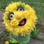 Profile Picture of Dawn Kasper (@Dawn-Kasper) on Facebook